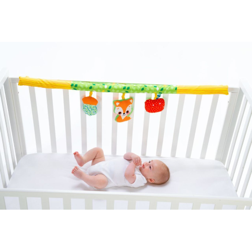 Palestrina Attività 3in1 - Capriccio Baby