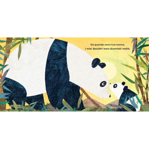 Picture Books - Amore Di Nonna - Capriccio Baby