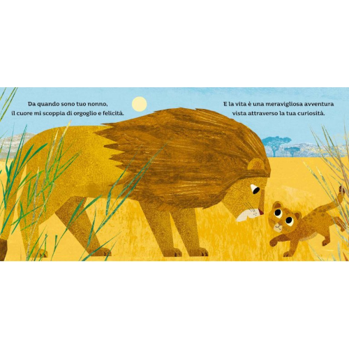 Picture Books - Amore Di Nonno - Capriccio Baby