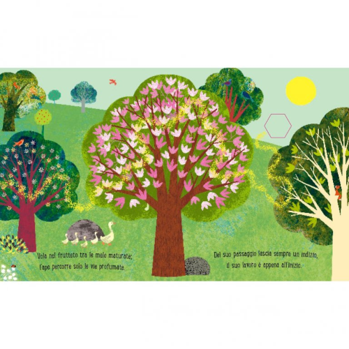 Picture Books - Ape - N.E. 2020 - Capriccio Baby