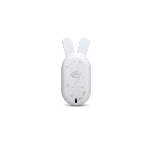 Termometro bagno - Capriccio Baby