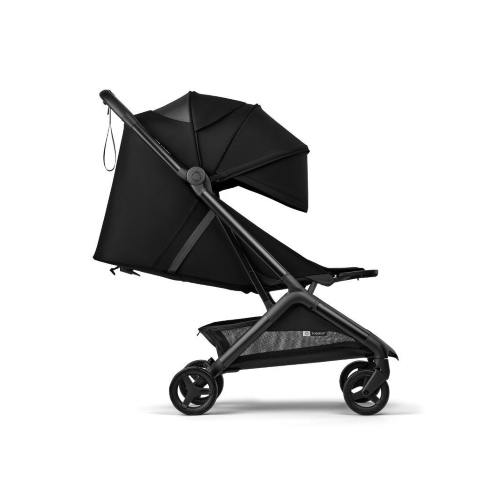 Alternative view of Butterfly 2  Passeggino